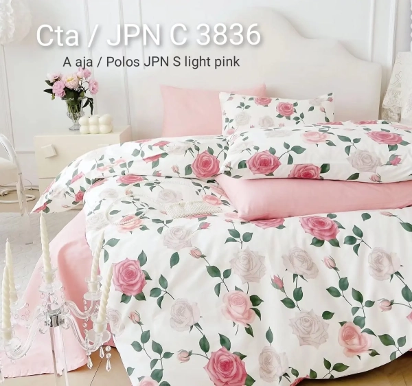 WhatsApp Image 2024-09-09 at 1.09.21 PM (3)