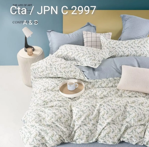 WhatsApp Image 2024-09-09 at 1.09.25 PM