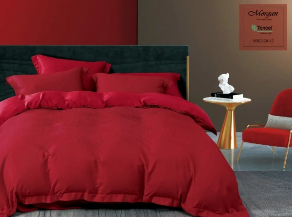 WhatsApp Image 2024-02-12 at 09.34.12 WhatsApp Image 2024-02-12 at 09.34.12