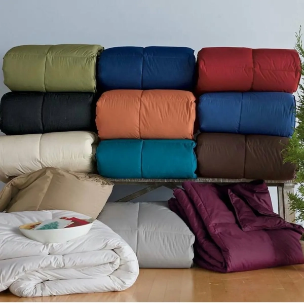 WhatsApp Image 2024-02-20 at 16.09.26 WhatsApp Image 2024-02-20 at 16.09.26